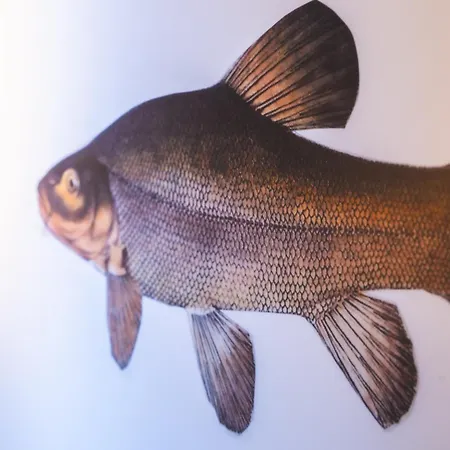 Гостевой дом Spreewelten 2*