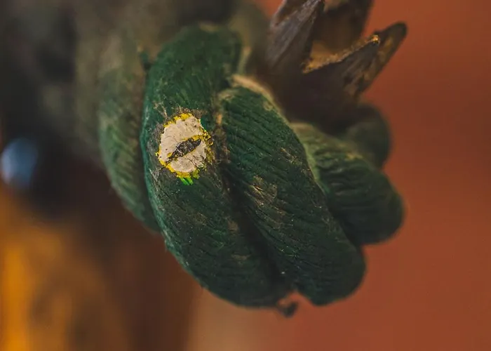 Spreewelten Pensionat 2*