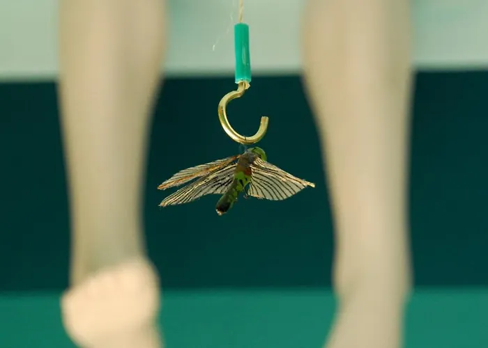 Pensionat Spreewelten Lübbenau