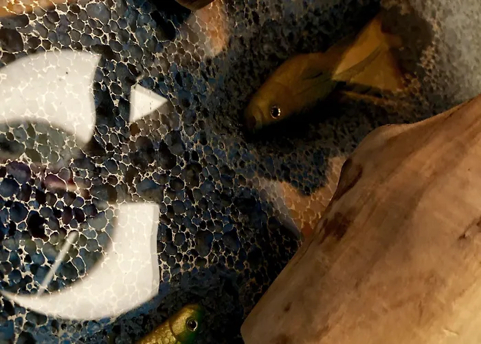 Pensionat Spreewelten 2*